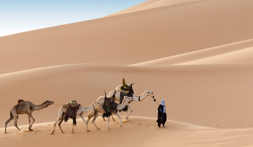 De amor y profecía De amor y profecía