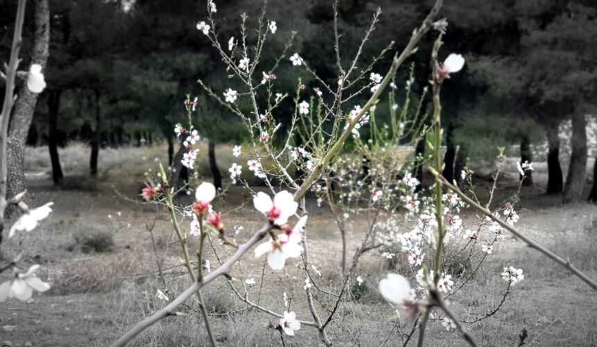 «De la abundancia del corazón…» «De la abundancia del corazón…»