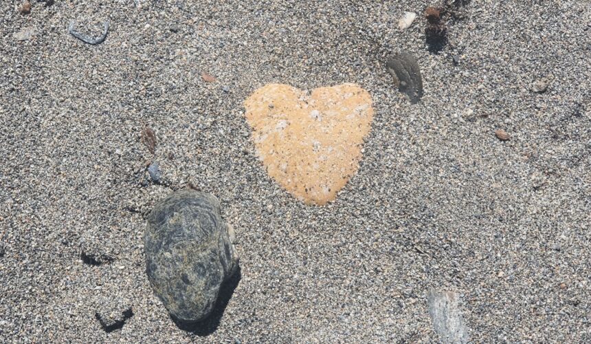 La puerta angosta del Reino