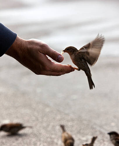 La grandeza de la humildad