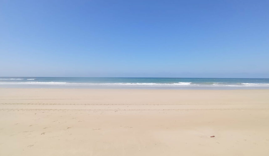 El sabio discernimiento del seguidor